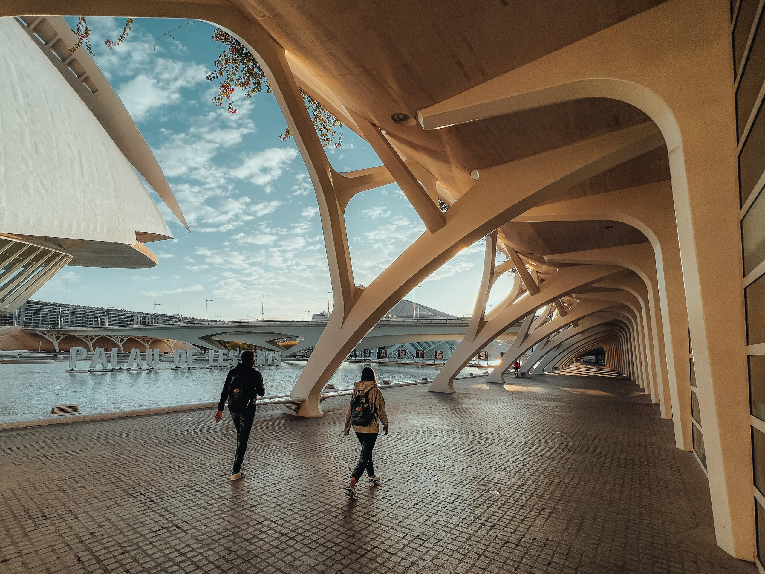 modern-architecture-of-valencia-2024-12-05-01-25-35-utc
